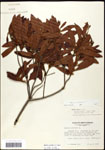 000062092-thumbnail.jpg