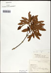 000062095-thumbnail.jpg
