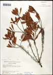 000062097-thumbnail.jpg