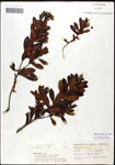 000062099-thumbnail.jpg