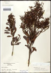 000062100-thumbnail.jpg