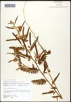 000062102-thumbnail.jpg