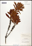 000062104-thumbnail.jpg