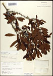 000062105-thumbnail.jpg