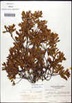 000062107-thumbnail.jpg