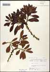 000062108-thumbnail.jpg