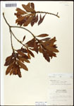 000062110-thumbnail.jpg