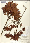 000062111-thumbnail.jpg