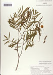 000062162-thumbnail.jpg