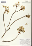 000062175-thumbnail.jpg