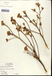 000062176-thumbnail.jpg