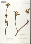 000062178-thumbnail.jpg