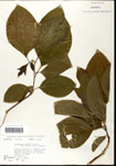 000062181-thumbnail.jpg