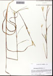 000062295-thumbnail.jpg