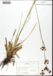 000062298-thumbnail.jpg
