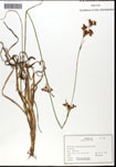 000062299-thumbnail.jpg