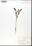 000062302-thumbnail.jpg