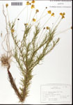 000062306-thumbnail.jpg