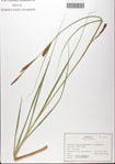 000062318-thumbnail.jpg