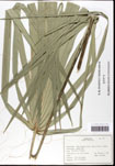 000062328-thumbnail.jpg