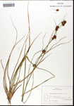 000062330-thumbnail.jpg