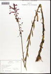 000062336-thumbnail.jpg