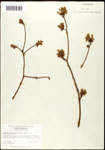 000062345-thumbnail.jpg