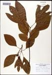 000062348-thumbnail.jpg