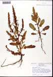 000062359-thumbnail.jpg