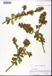 000062382-thumbnail.jpg