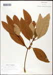 000062446-thumbnail.jpg