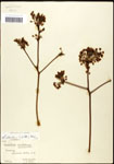 000062449-thumbnail.jpg