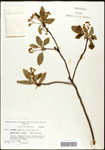 000062458-thumbnail.jpg