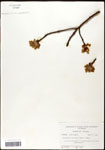 000062463-thumbnail.jpg