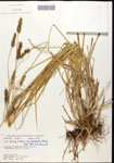 000063224-thumbnail.jpg