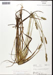 000063225-thumbnail.jpg