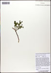 000063373-thumbnail.jpg