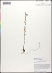 000063384-thumbnail.jpg