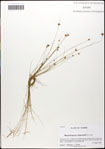 000063398-thumbnail.jpg