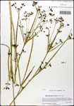 000063404-thumbnail.jpg