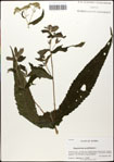 000063405-thumbnail.jpg