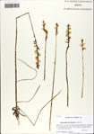 000063439-thumbnail.jpg