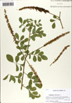 000063498-thumbnail.jpg