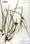 000063808-thumbnail.jpg