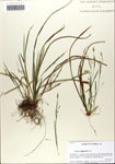 000063829-thumbnail.jpg