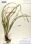 000063831-thumbnail.jpg