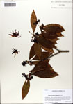 000063838-thumbnail.jpg