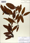 000063853-thumbnail.jpg