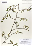 000063854-thumbnail.jpg