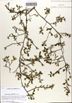 000063858-thumbnail.jpg